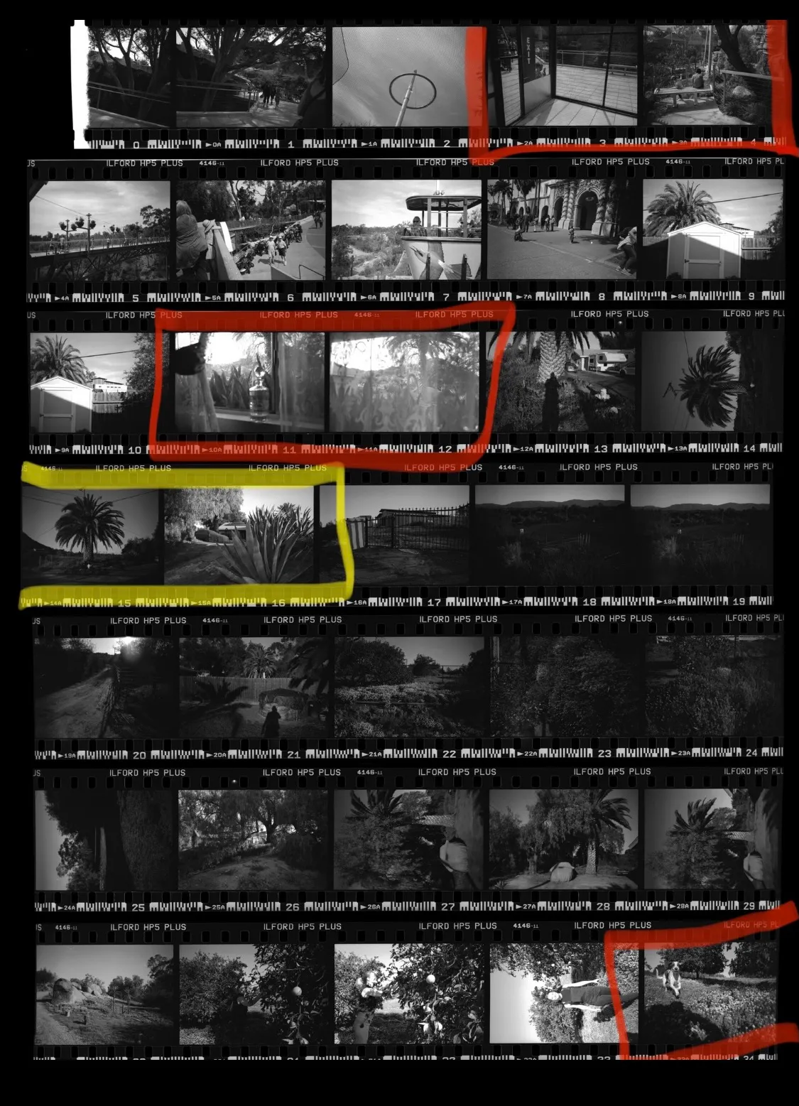 iPhone Contact Sheet